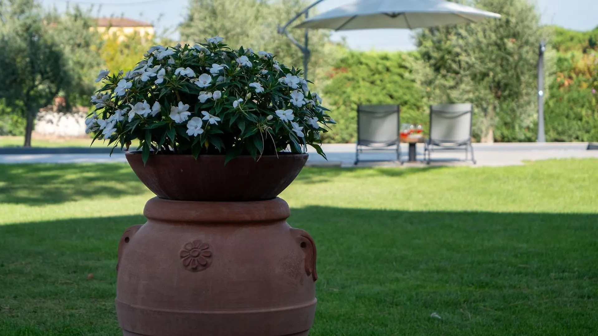 Il Fico E La Civetta Βίλα Marciano della Chiana